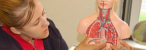 College of Health Practices