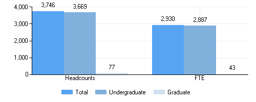Student 12-month Headcount by level